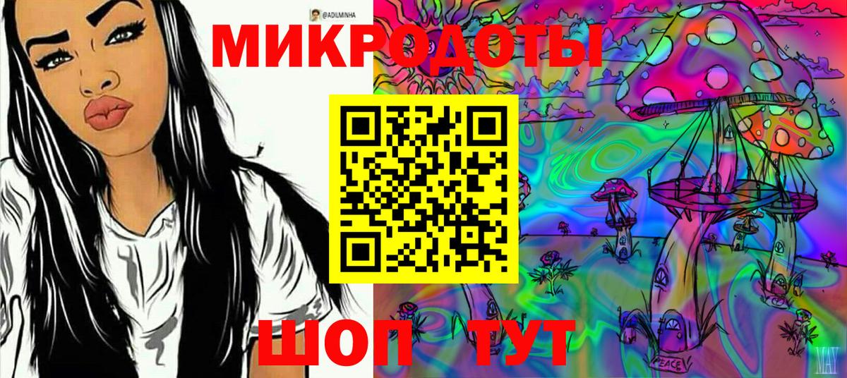 Псилоцибиновые грибы Psilocybe Энгельс