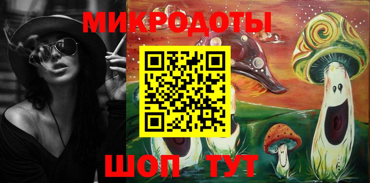 Энгельс  наркотики  Вход с VPN  Псилоцибиновые грибы мицелий 